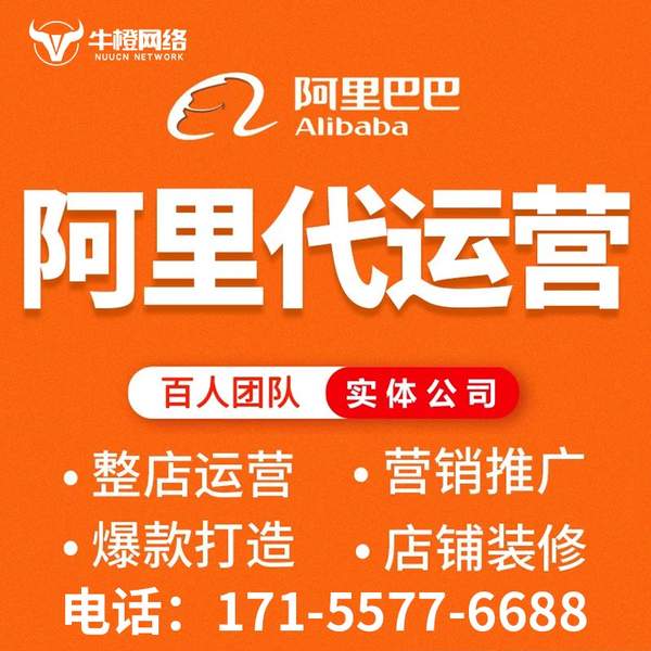醴陵电商代运营