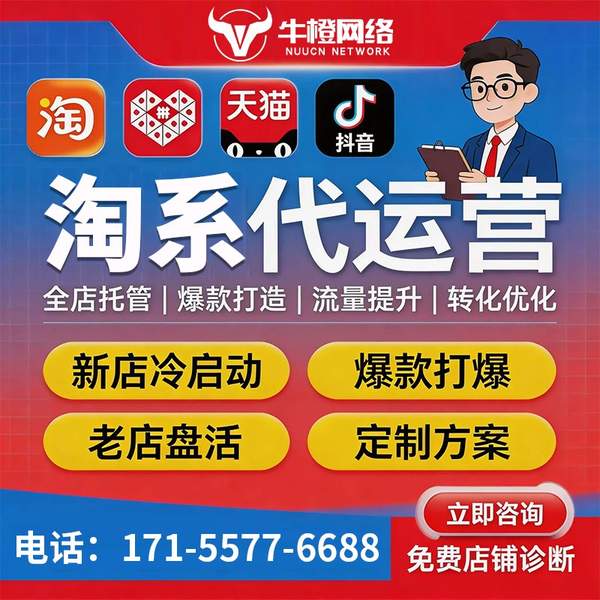 醴陵电商代运营