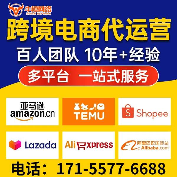 醴陵电商代运营