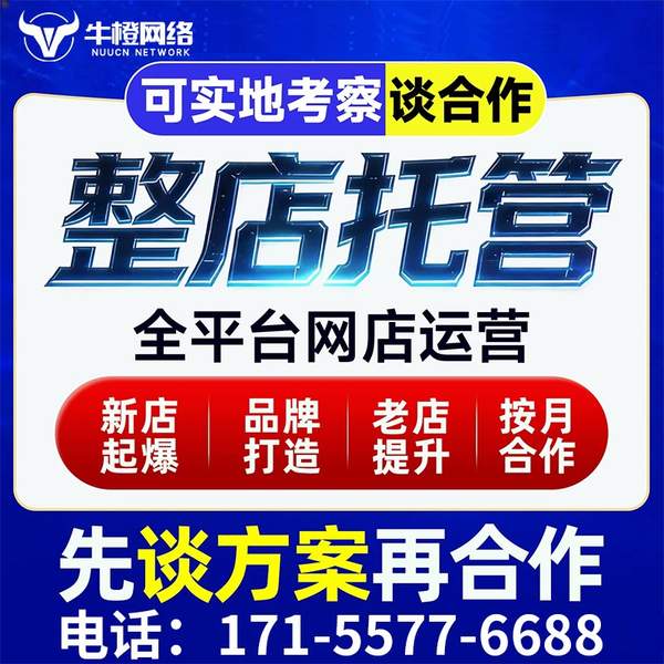 醴陵电商代运营