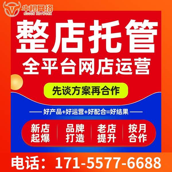 醴陵电商代运营