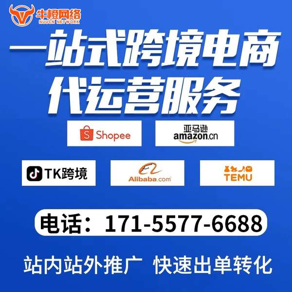 醴陵电商代运营