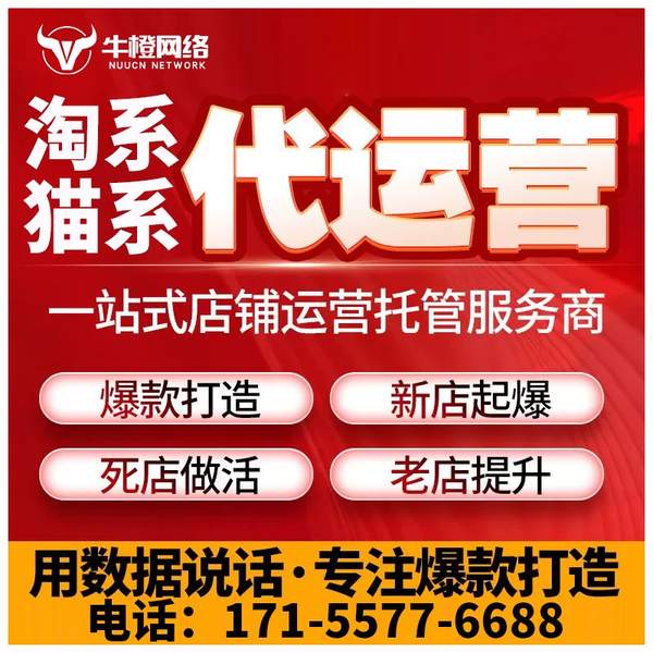 醴陵电商代运营